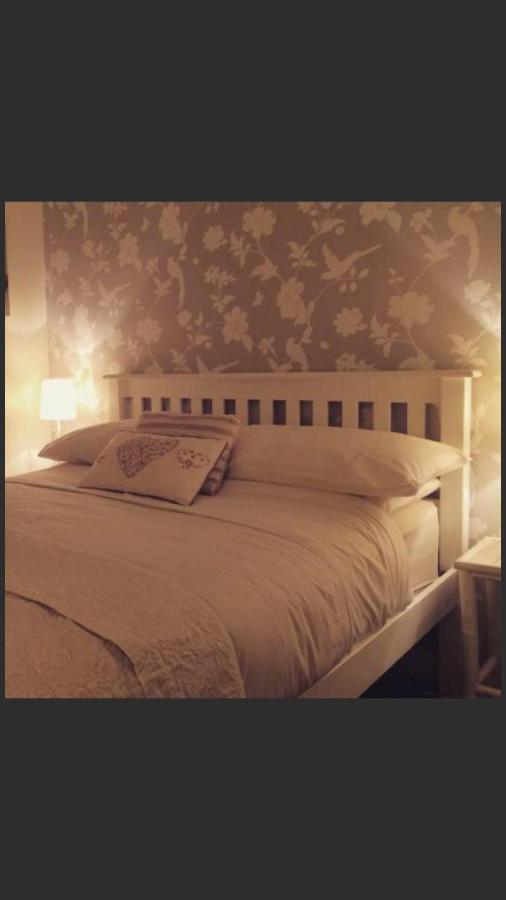 Ty Mawr Hotel Ланбедър Екстериор снимка